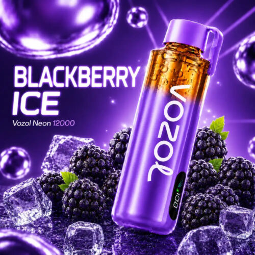 Vozol Vape Neon 12000 Pro - Blackberry Ice