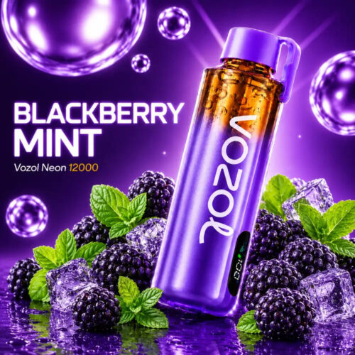 Vozol Vape Neon 12000 Pro - Blackberry Mint