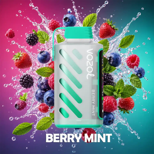 Vozol Vape Gear Power 20000 - Berry Mint