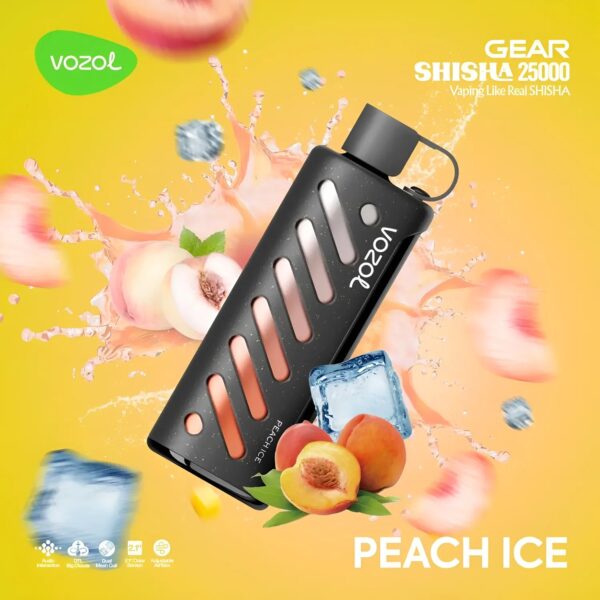 Vozol Vape Gear Shisha 25000