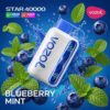 Vozol Vape Star 40000 - Blueberry Mint