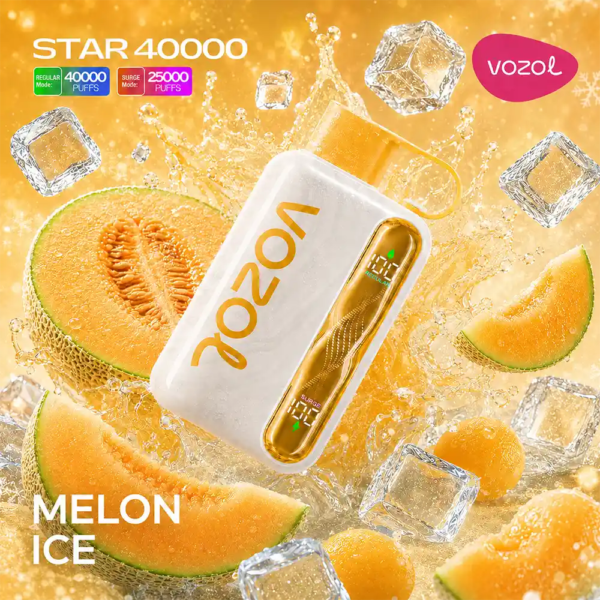 Vozol Vape Star 40000