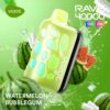 Vozol Vape Rave 40000 - Watermelon Bubblegum